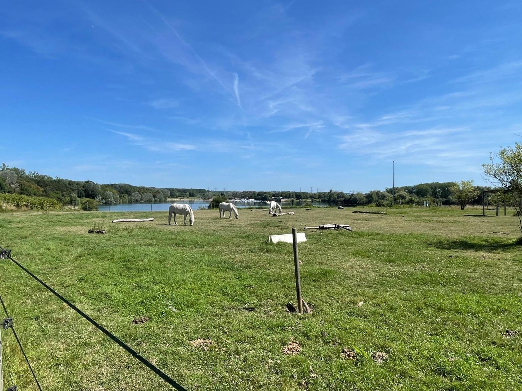 Chambre Climatisee, Entre Paris Disneyland, Au Coeur Des Jeux Olympiques Canoe-Kayak, Vaires-sur-Marne Buitenkant foto